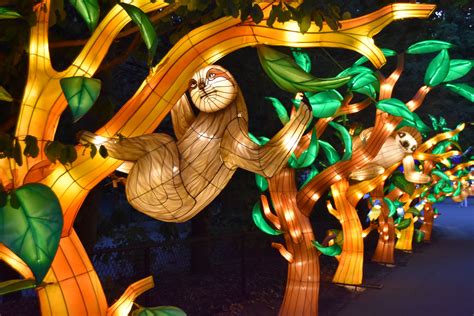 Franklin zoo lights. Things To Know About Franklin zoo lights. 